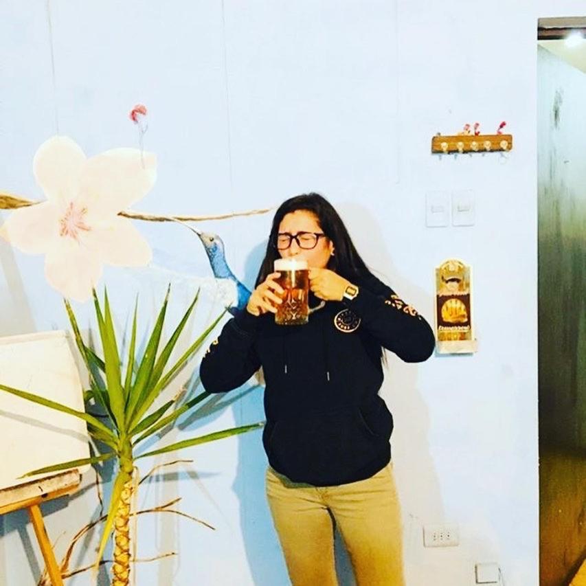 Beer&Beer Bed & Breakfast Valparaiso Luaran gambar